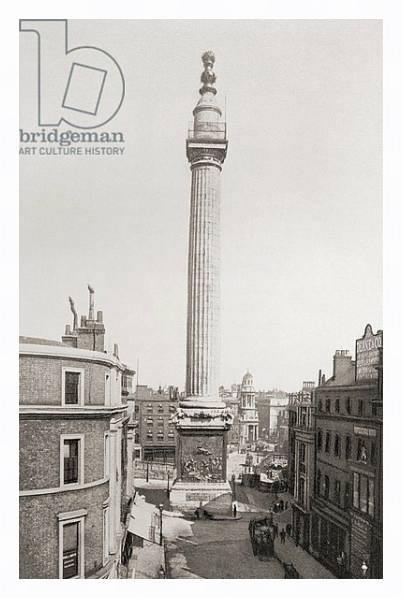 Постер The Monument to the Great Fire of London 1902. с типом исполнения На холсте в раме в багетной раме 221-03