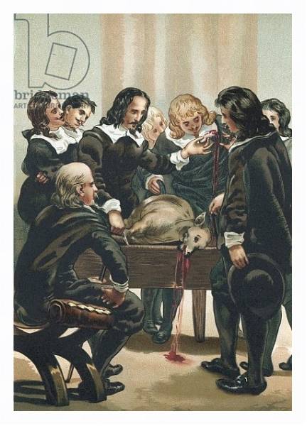 Постер William Harvey demonstrating the circulation of the blood с типом исполнения На холсте в раме в багетной раме 221-03