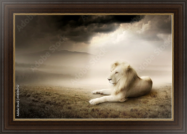 Постер Белый лев на закате с типом исполнения На холсте в раме в багетной раме 1.023.151