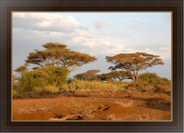 Постер Кения, Африка. Национальный парк 2 с типом исполнения На холсте в раме в багетной раме 1.023.151