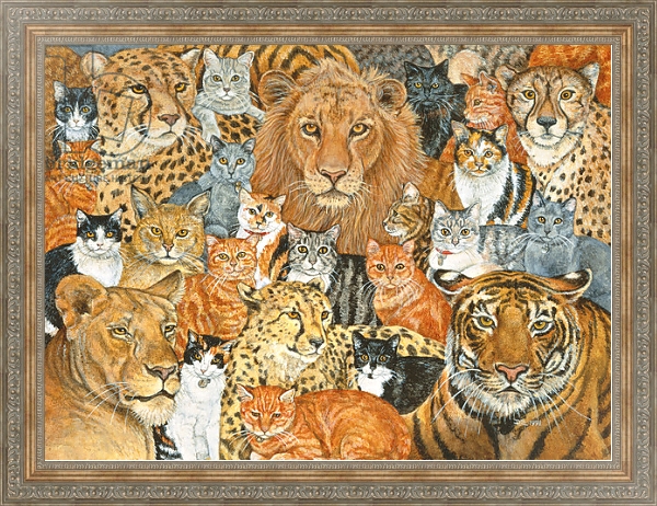 Постер Semi Wild Cat Spread с типом исполнения На холсте в раме в багетной раме 484.M48.310