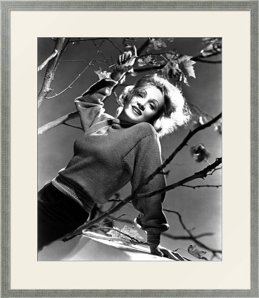 Постер Dietrich, Marlene 2 с типом исполнения Под стеклом в багетной раме 1727.2510