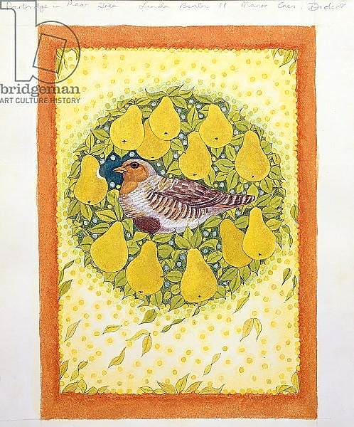 Постер Partridge in a Pear Tree с типом исполнения На холсте без рамы