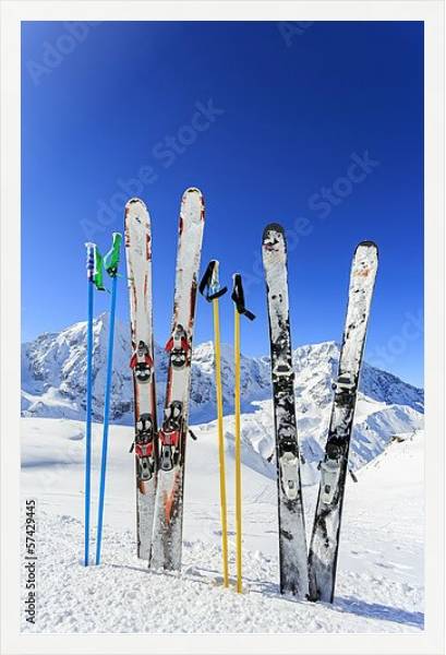 Постер Горные лыжи с типом исполнения На холсте в раме в багетной раме 1727.7010
