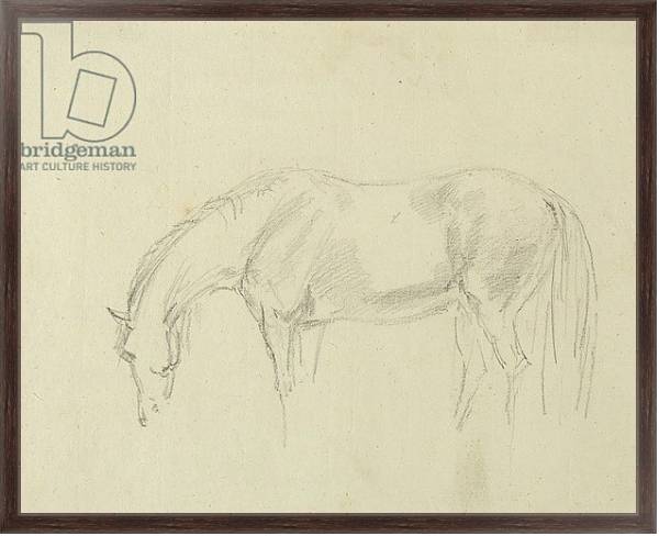 Постер A horse grazing с типом исполнения На холсте в раме в багетной раме 221-02