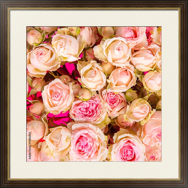 Постер Розы. Розовое облако. с типом исполнения Под стеклом в багетной раме 1.023.036