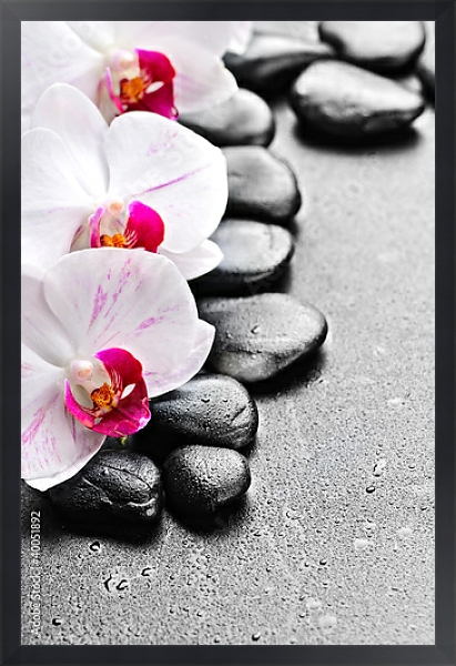 Постер Камни. Орхидеи с типом исполнения На холсте в раме в багетной раме 1727.8010