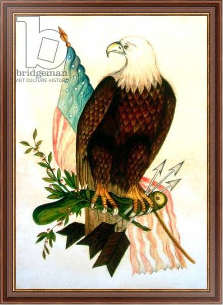 Постер Bald eagle with flag с типом исполнения На холсте в раме в багетной раме 35-M719P-83