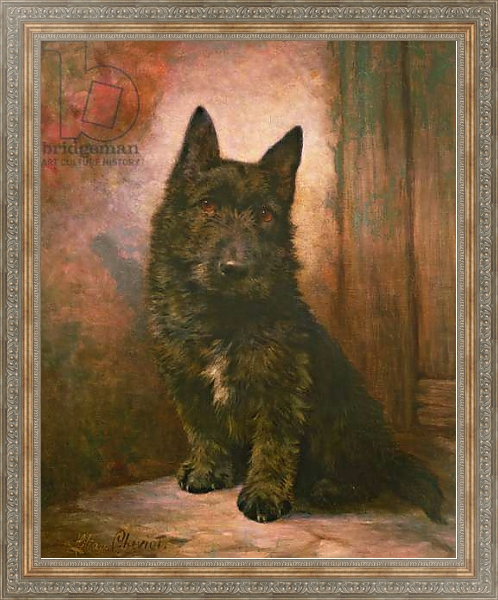 Постер Scottie Puppy с типом исполнения На холсте в раме в багетной раме 484.M48.310