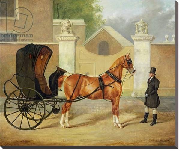 Постер Gentlemen's Carriages: A Cabriolet, c.1820-30 с типом исполнения На холсте без рамы