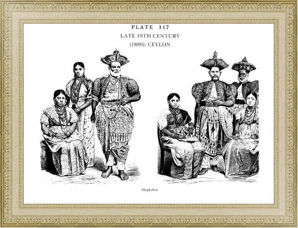 Постер Fin XIXè Siècle (1880) Ceylan, Late 19Th century (1880) Ceylon с типом исполнения Акварель в раме в багетной раме 484.M48.725
