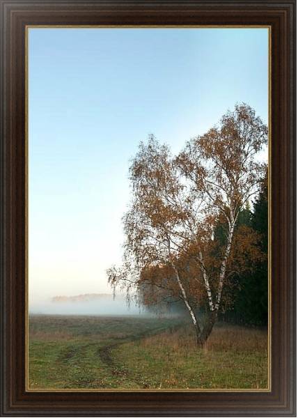 Постер Туманное утро 2 с типом исполнения На холсте в раме в багетной раме 1.023.151