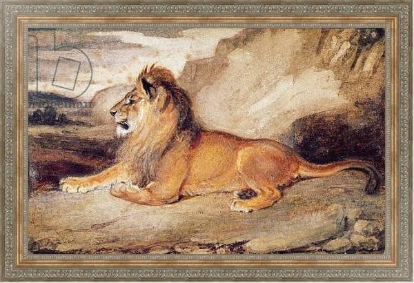 Постер Lion Resting с типом исполнения На холсте в раме в багетной раме 484.M48.310