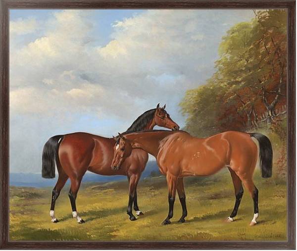 Постер Две скаковые лошади с типом исполнения На холсте в раме в багетной раме 221-02