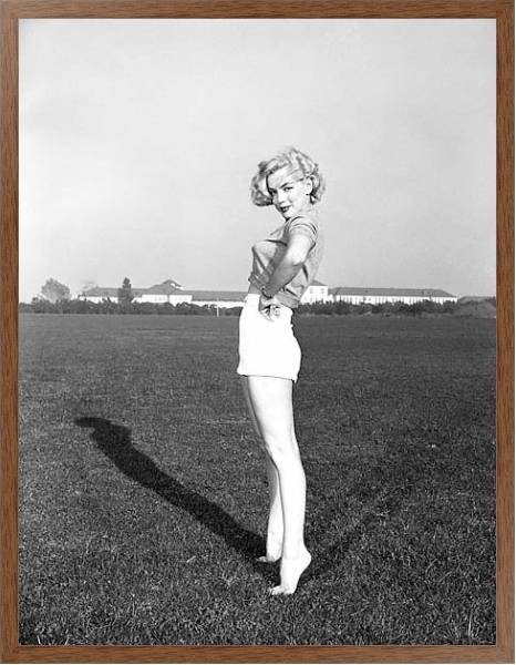Постер Monroe, Marilyn 15 с типом исполнения На холсте в раме в багетной раме 1727.4310