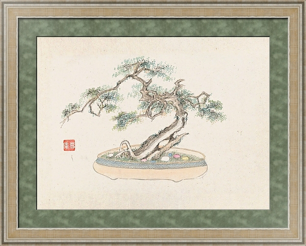 Постер Bonsai kabenzu, Pl.02 с типом исполнения Акварель в раме в багетной раме 485.M40.584