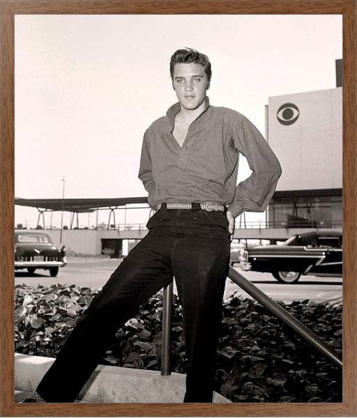 Постер Presley, Elvis 14 с типом исполнения На холсте в раме в багетной раме 1727.4310