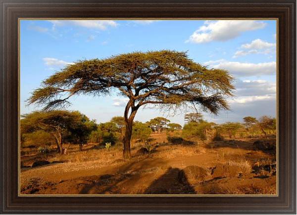 Постер Кения, Африка. Национальный парк с типом исполнения На холсте в раме в багетной раме 1.023.151