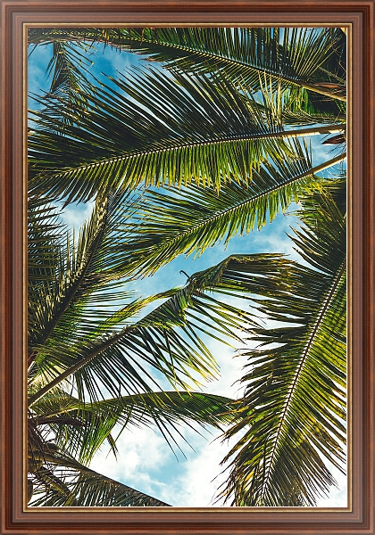 Постер Небо сквозь пальмовые листья с типом исполнения На холсте в раме в багетной раме 35-M719P-83
