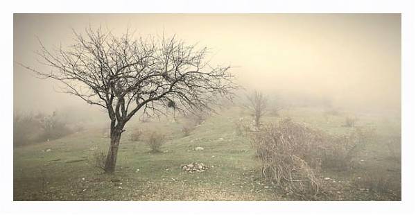 Постер Туман в поле с типом исполнения На холсте в раме в багетной раме 221-03