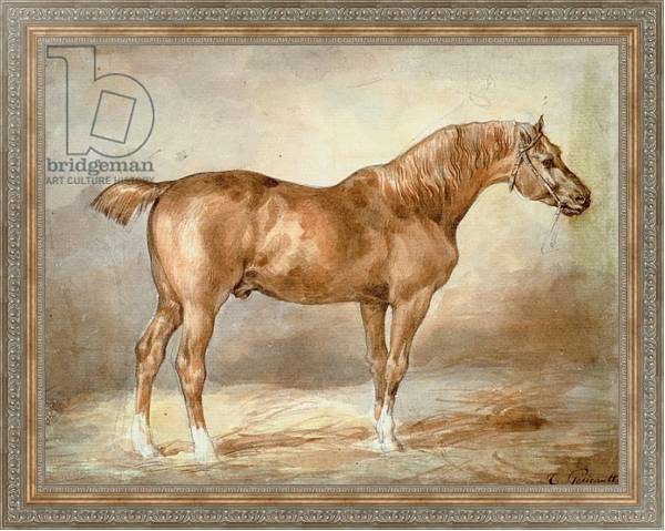 Постер A docked chestnut horse с типом исполнения На холсте в раме в багетной раме 484.M48.310