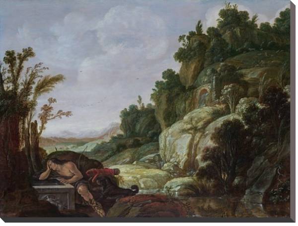 Постер Горный пейзаж с Нарциссом с типом исполнения На холсте без рамы
