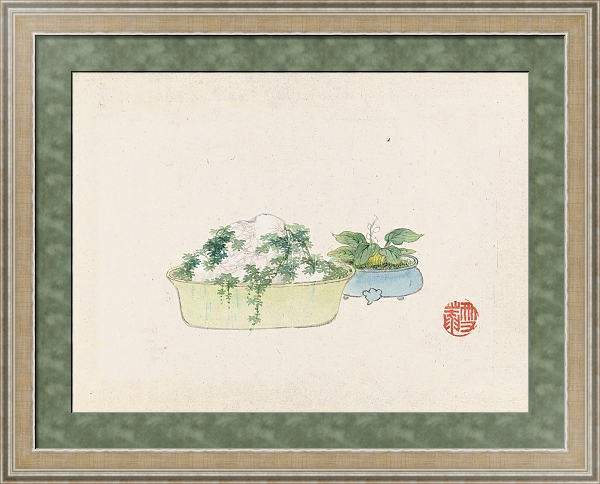 Постер Bonsai kabenzu, Pl.10 с типом исполнения Акварель в раме в багетной раме 485.M40.584