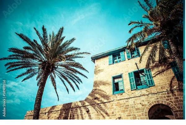 Постер Дом с пальмами в Яффо, на юге старой части Тель-Авива, Израиль с типом исполнения На холсте без рамы