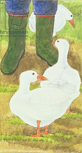 Постер Ducks and Green Wellies с типом исполнения На холсте без рамы
