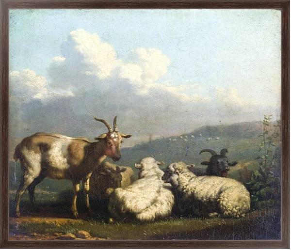 Постер Овцы и козлы с типом исполнения На холсте в раме в багетной раме 221-02
