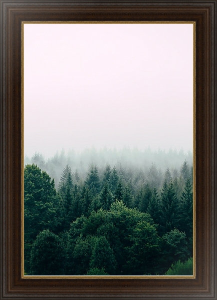 Постер Зеленый хвойный лес в тумане с типом исполнения На холсте в раме в багетной раме 1.023.151