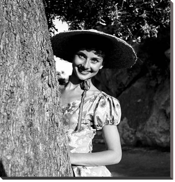Постер Hepburn, Audrey 69 с типом исполнения На холсте без рамы