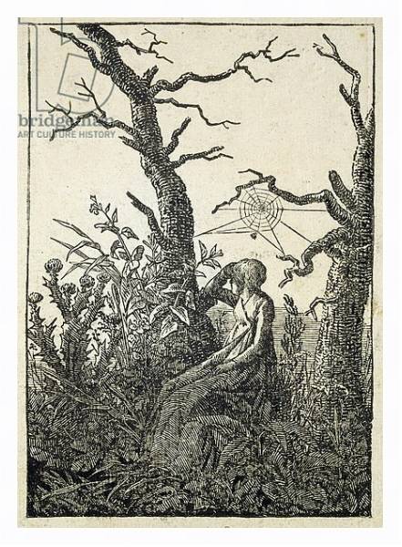 Постер The Woman with a Spider's Web in the middle of Leafless Trees с типом исполнения На холсте в раме в багетной раме 221-03