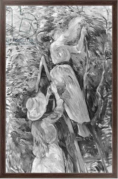 Постер Picking cherries, 1891 с типом исполнения На холсте в раме в багетной раме 221-02