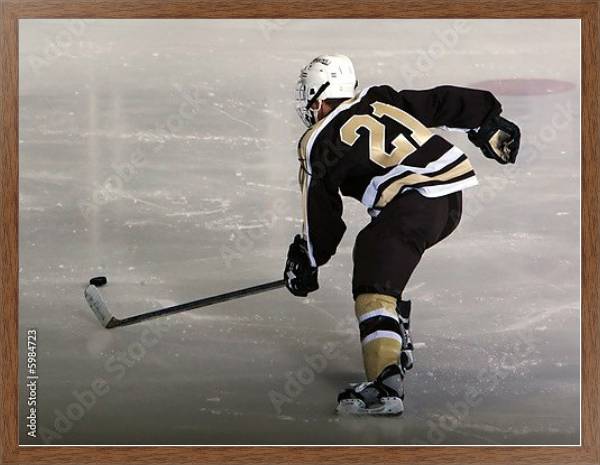 Постер Хоккей с типом исполнения На холсте в раме в багетной раме 1727.4310