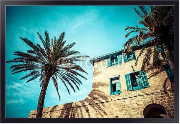 Постер Дом с пальмами в Яффо, на юге старой части Тель-Авива, Израиль с типом исполнения На холсте в раме в багетной раме 221-01