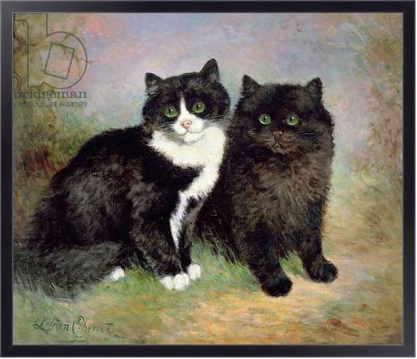 Постер A Pair of Pussy Cats с типом исполнения На холсте в раме в багетной раме 221-01