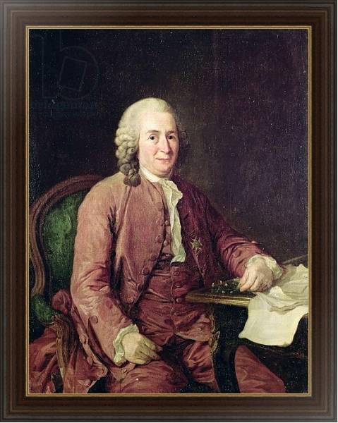 Постер Portrait of Carl von Linnaeus с типом исполнения На холсте в раме в багетной раме 1.023.151