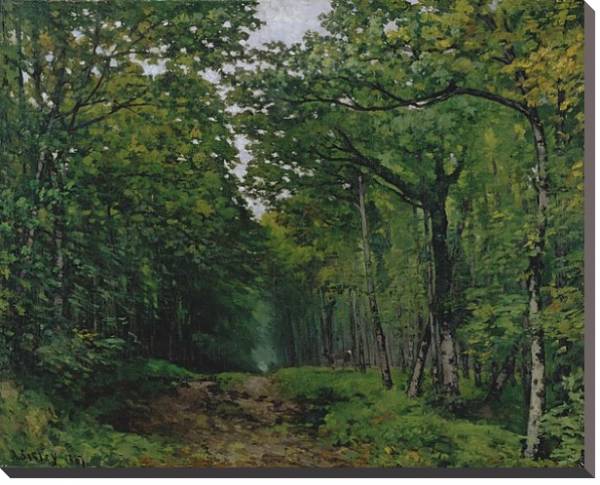 Постер The Avenue of Chestnut Trees at La Celle-Saint-Cloud, 1867 с типом исполнения На холсте без рамы