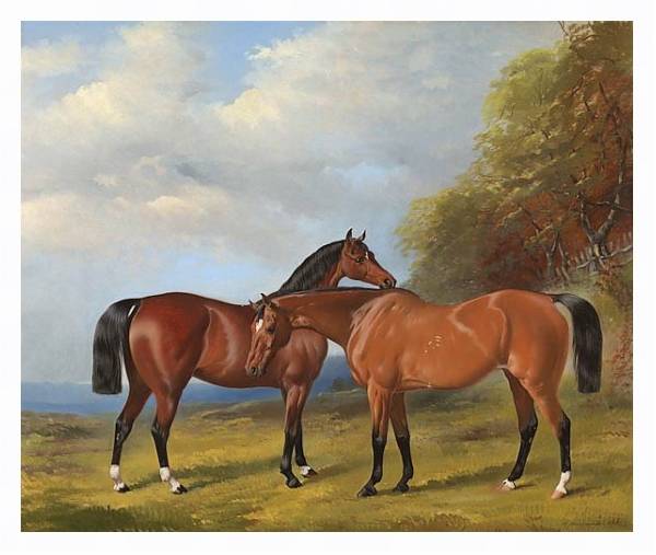 Постер Две скаковые лошади с типом исполнения На холсте в раме в багетной раме 221-03