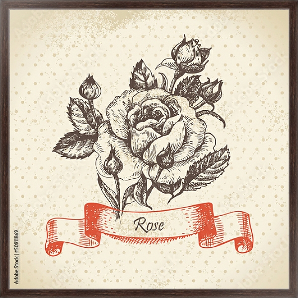 Постер Иллюстрация с розой и бутонами с типом исполнения На холсте в раме в багетной раме 221-02
