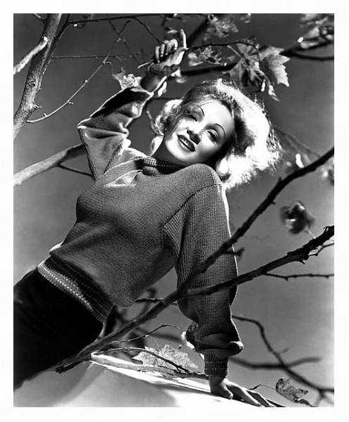 Постер Dietrich, Marlene 2 с типом исполнения На холсте в раме в багетной раме 221-03