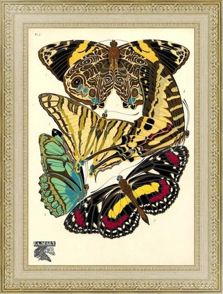 Постер Papillons by E. A. Seguy №16 с типом исполнения Акварель в раме в багетной раме 484.M48.725