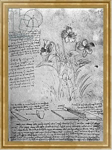 Постер Studies of Violas, fol. 14r from Manuscript B, c.1487-90 с типом исполнения На холсте в раме в багетной раме NA033.1.051