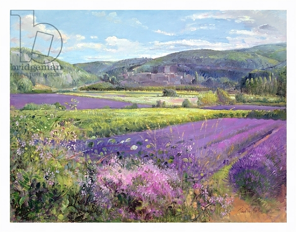Постер Lavender Fields in Old Provence с типом исполнения На холсте в раме в багетной раме 221-03