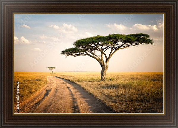 Постер Африканский пейзаж, Танзания с типом исполнения На холсте в раме в багетной раме 595.M52.330