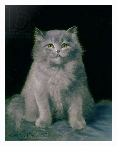 Постер Study of a cat с типом исполнения На холсте в раме в багетной раме 221-03