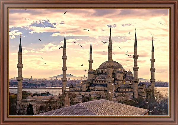 Постер Мечеть Султанахмет. Стамбул с типом исполнения На холсте в раме в багетной раме 35-M719P-83