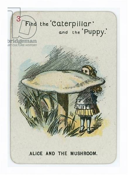 Постер Alice and the Mushroom с типом исполнения На холсте в раме в багетной раме 221-03