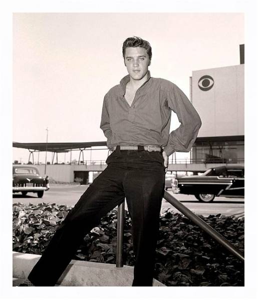 Постер Presley, Elvis 14 с типом исполнения На холсте в раме в багетной раме 221-03